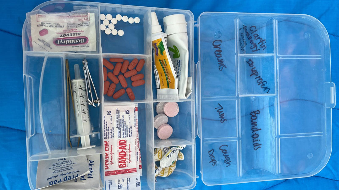 family travel medicine kit